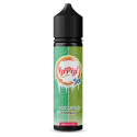 Longfill Izi Pizi Ice 6/60ml - Kaktus Limonka | Owocowy smak DIY Longfill Izi Pizi Ice 6/60ml - Kaktus Limonka | Owocowy smak DIY